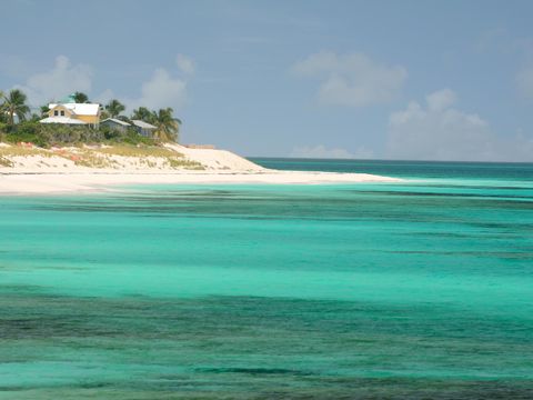 Bimini