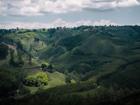 Cucuta