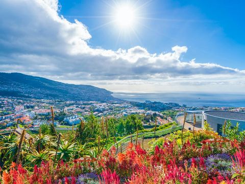 Pakkereiser til Madeira