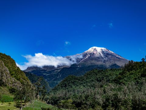 Flybilletter til Ibague