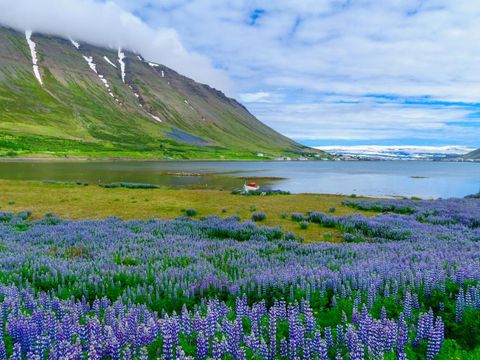 Flybilletter til Isafjordur