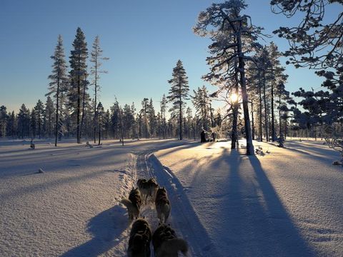 Flybilletter til Ivalo