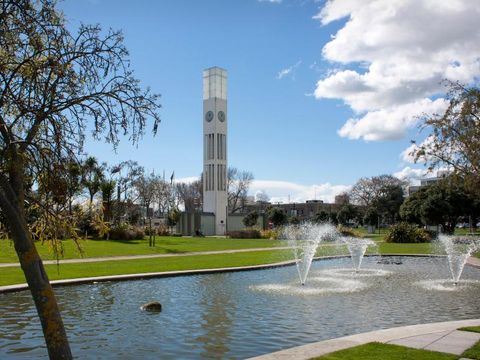 Flybilletter til Palmerston North