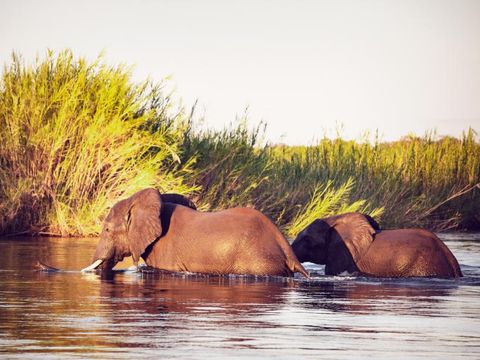 Flybilletter til Lower Zambezi Nat.Park