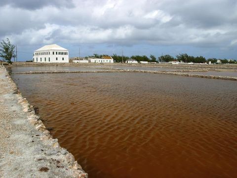 Flybilletter til Salt Cay