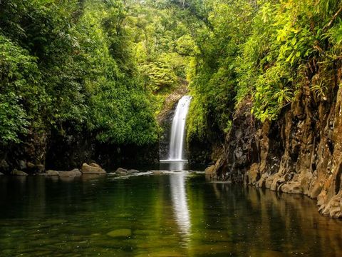 Flybilletter til Taveuni Island