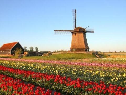 Nederland